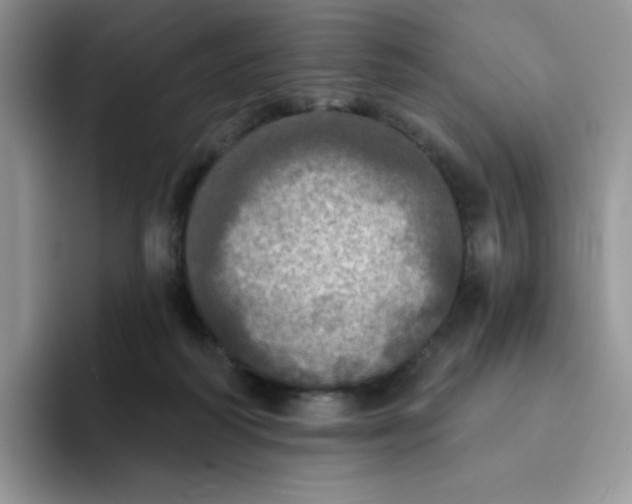X0000094210218200711091243
