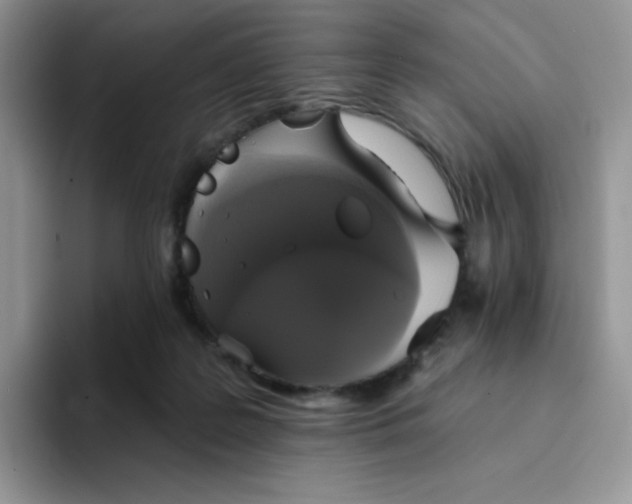 X0000094210219200711091243