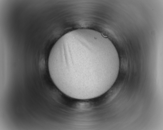 X0000094210220200711091243