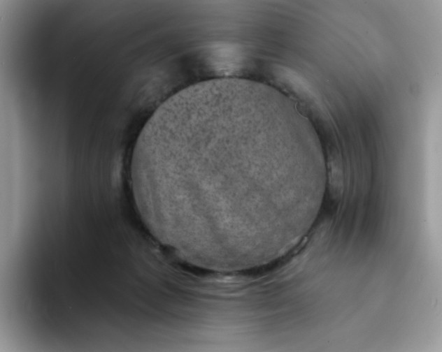 X0000094210221200711091243