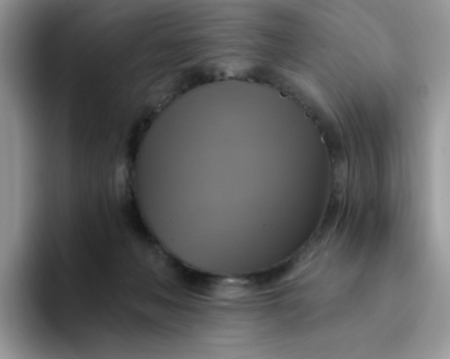 X0000094210222200711091243