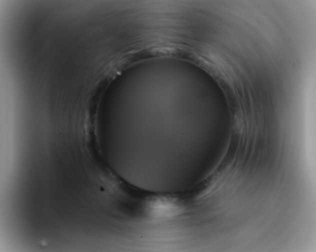 X0000094210223200711091243