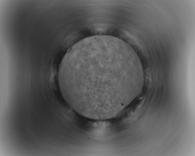 X0000094210225200711091243