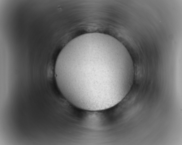 X0000094210226200711091243