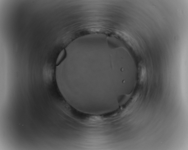 X0000094210227200711091243