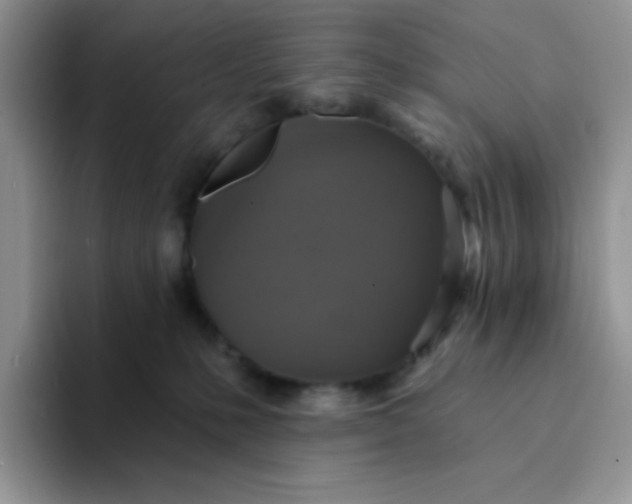 X0000094210231200711091243