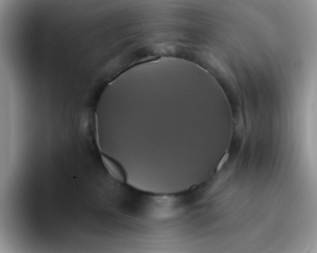 X0000094210233200711091243