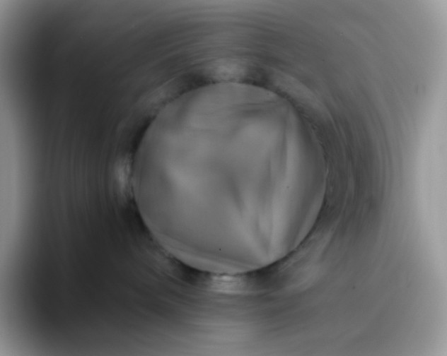 X0000094210240200711091243