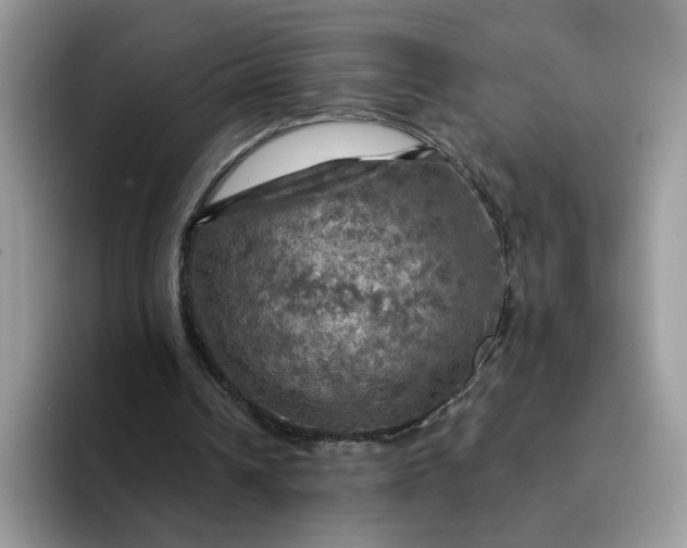 X0000094210242200711091243
