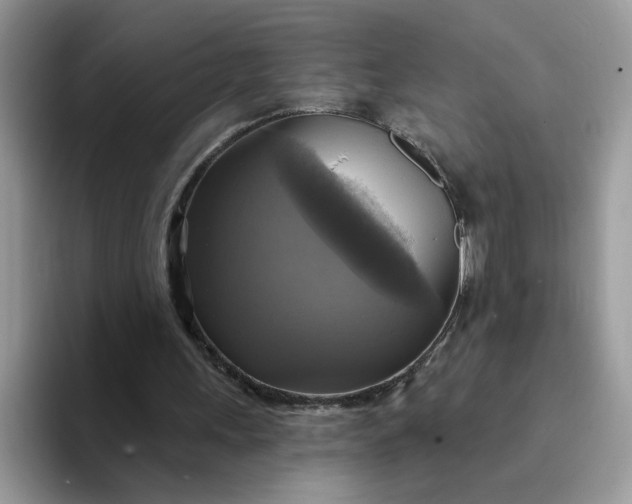 X0000094210243200711091243