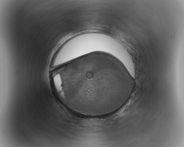 X0000094210244200711091243