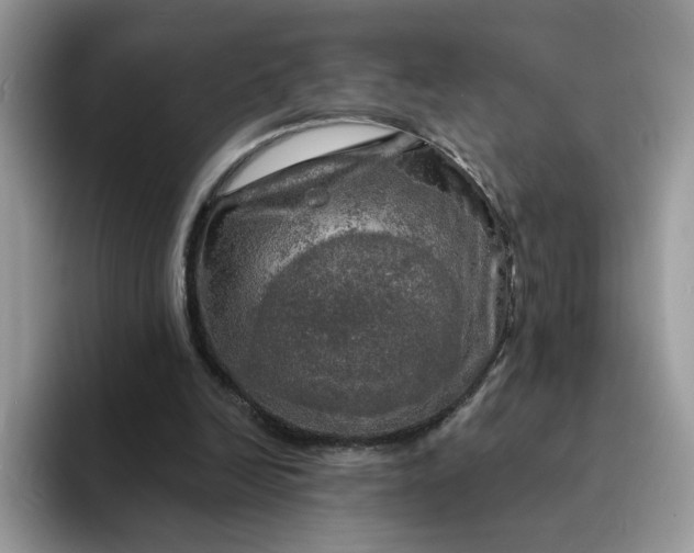 X0000094210246200711091243