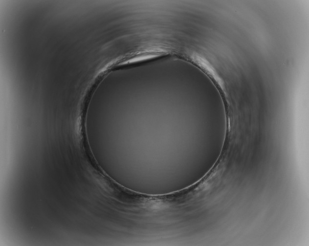 X0000094210249200711091243