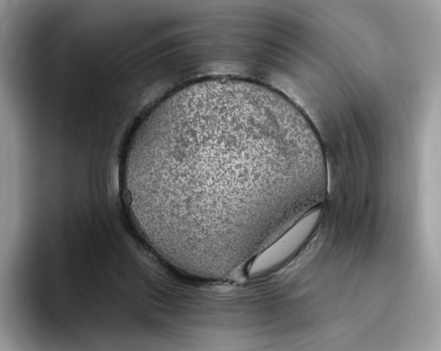X0000094210253200711091243