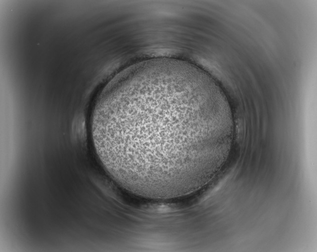 X0000094210254200711091243