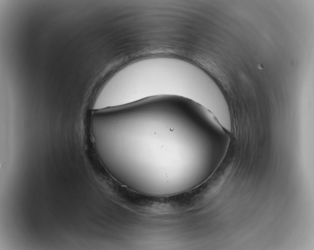 X0000094210256200711091243