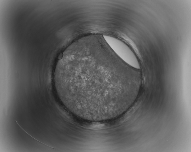 X0000094210257200711091243