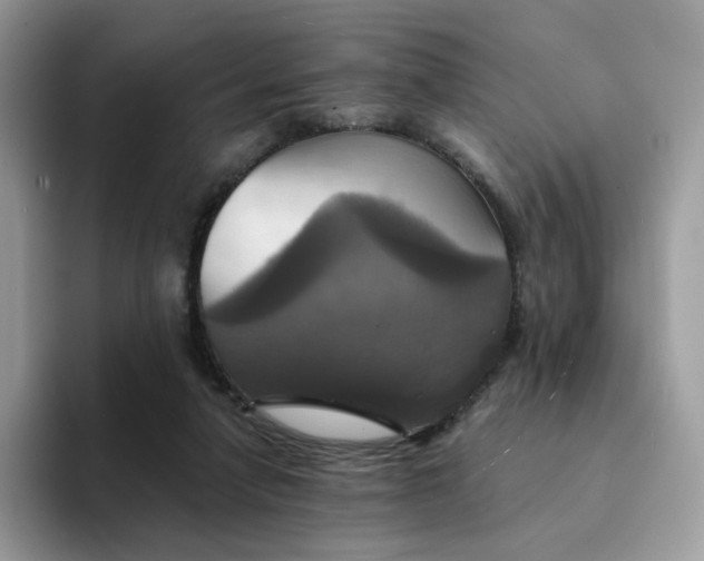 X0000094210258200711091243