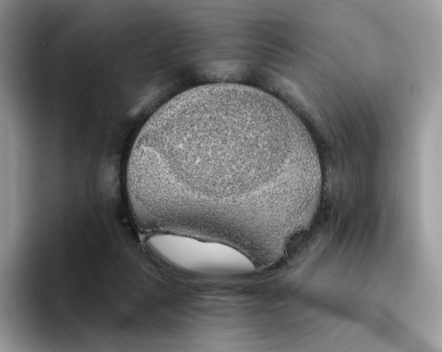 X0000094210259200711091243
