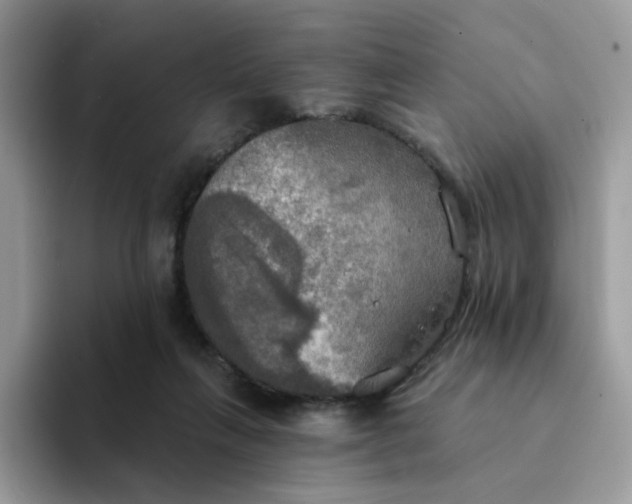 X0000094210263200711091243