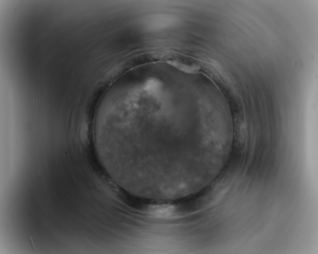 X0000094210266200711091243