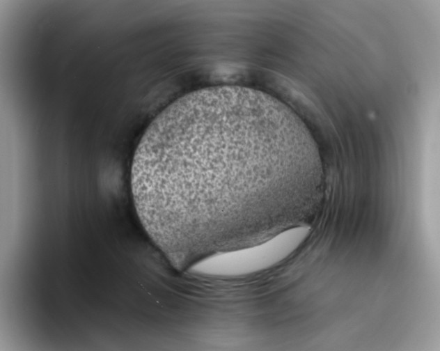 X0000094210270200711091243