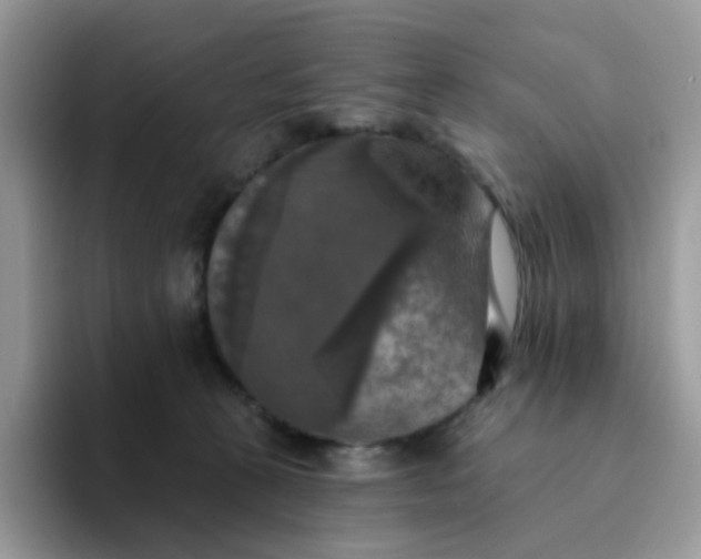 X0000094210273200711091243