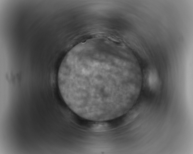 X0000094210274200711091243