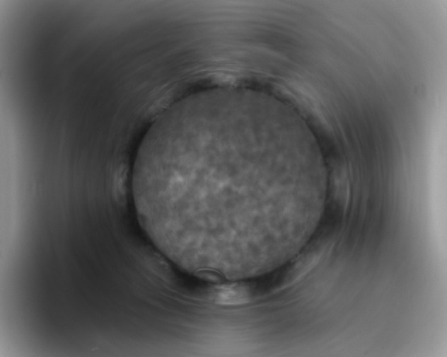 X0000094210275200711091243