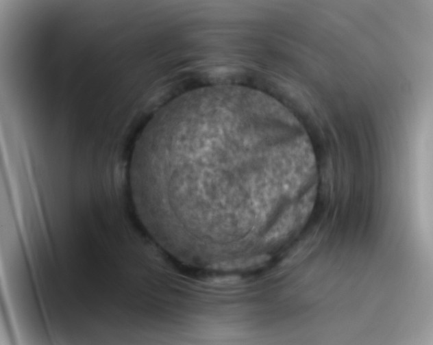 X0000094210278200711091243