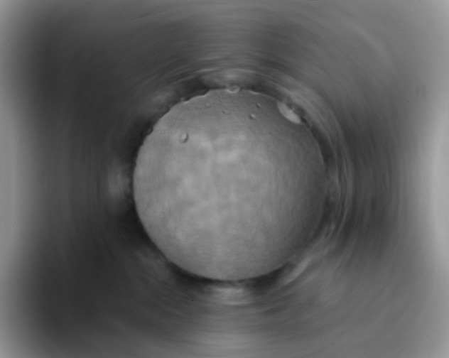 X0000094210284200711091243