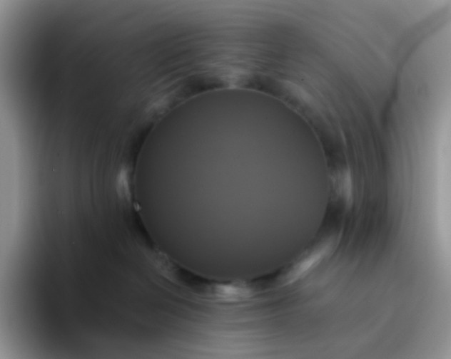 X0000094210286200711091243