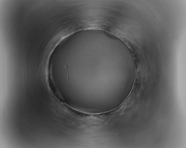 X0000094210290200711091243