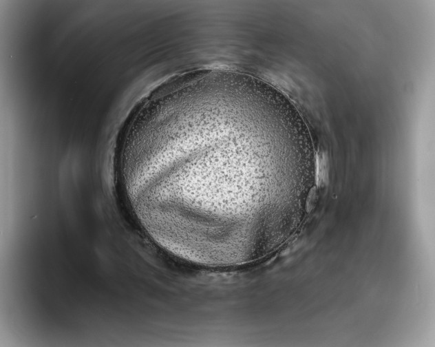 X0000094210291200711091243
