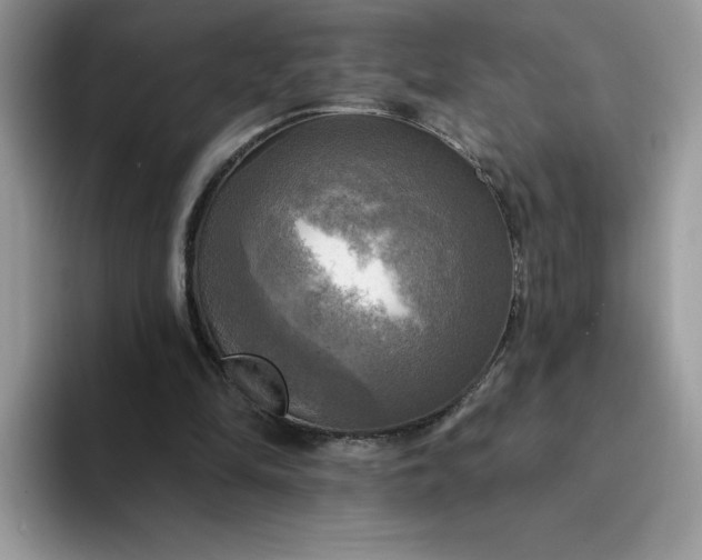 X0000094210294200711091243