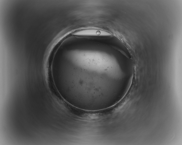 X0000094210295200711091243