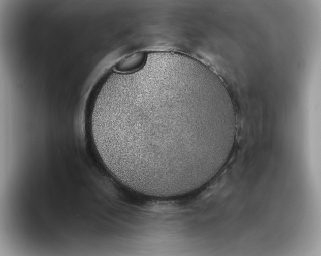 X0000094210296200711091243