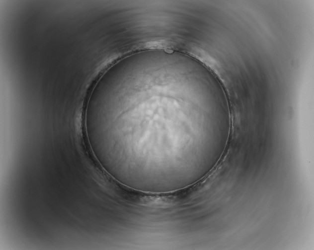 X0000094210297200711091243