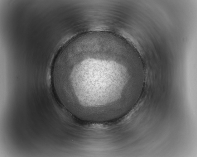 X0000094210298200711091243