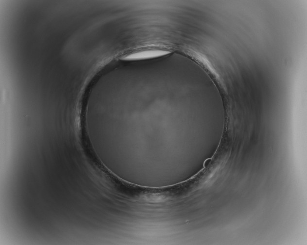 X0000094210299200711091243