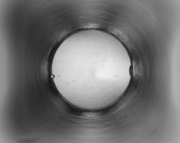 X0000094210300200711091243