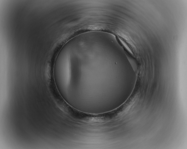 X0000094210303200711091242