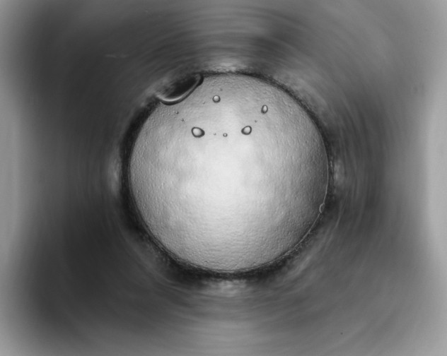 X0000094210304200711091242