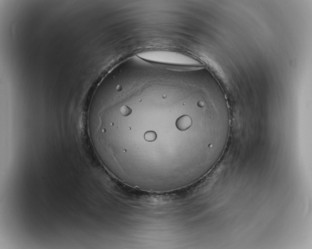 X0000094210305200711091242