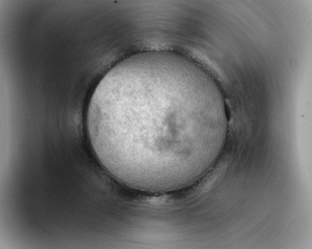 X0000094210306200711091242