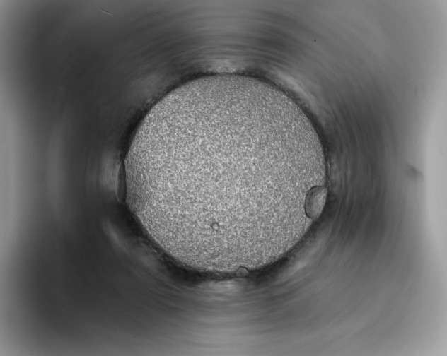 X0000094210307200711091242