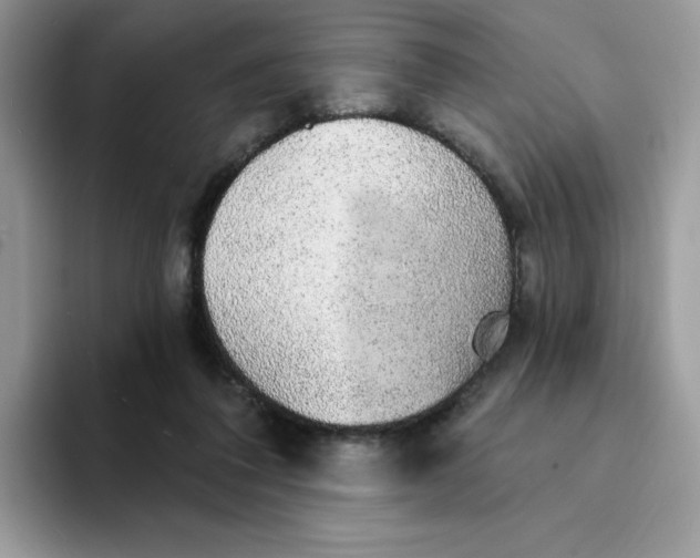 X0000094210308200711091242