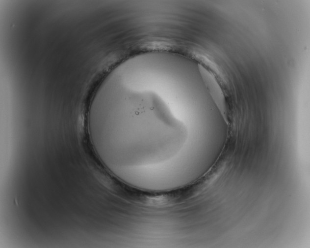 X0000094210309200711091242