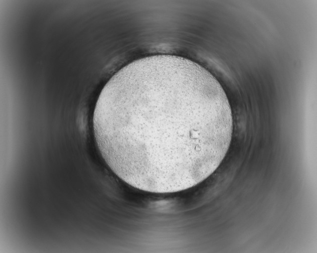 X0000094210312200711091242