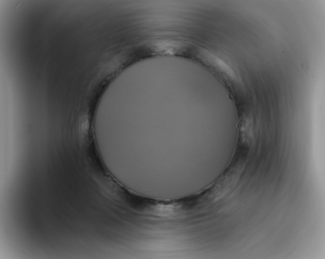 X0000094210314200711091242